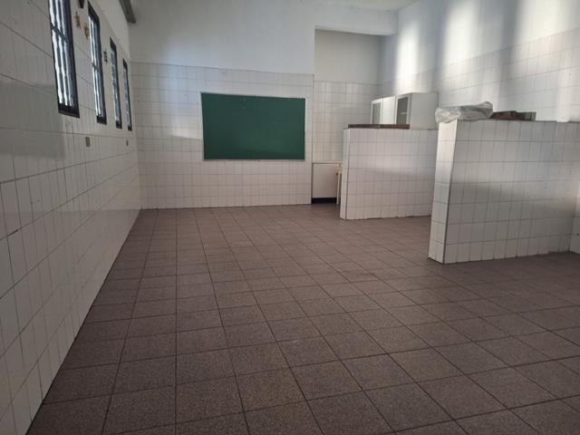 295201